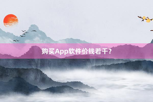 购买App软件价钱若干？